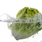 lettuce-in-water