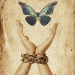hands-releasing-butterfly